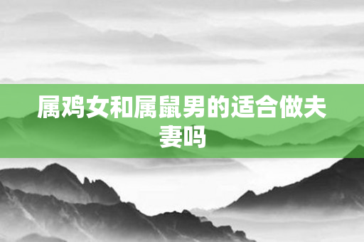 属鸡女和属鼠男的适合做夫妻吗