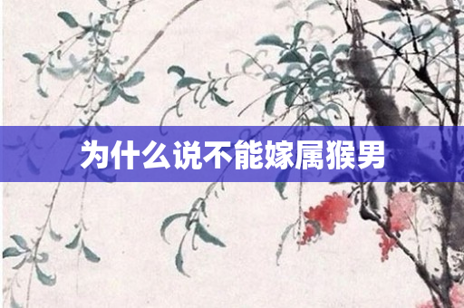 为什么说不能嫁属猴男
