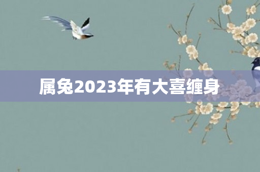 属兔2023年有大喜缠身