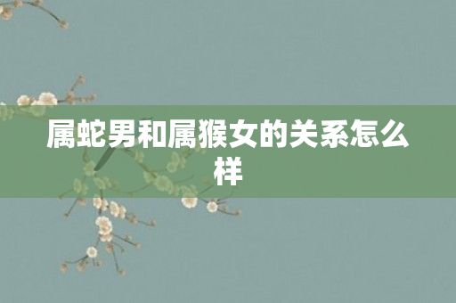 属蛇男和属猴女的关系怎么样
