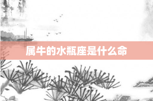 属牛的水瓶座是什么命