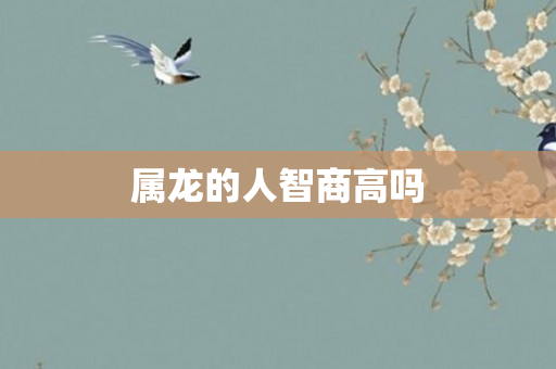 属龙的人智商高吗