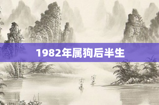 1982年属狗后半生