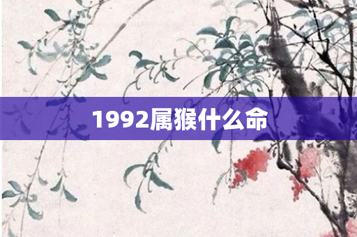 1992属猴什么命