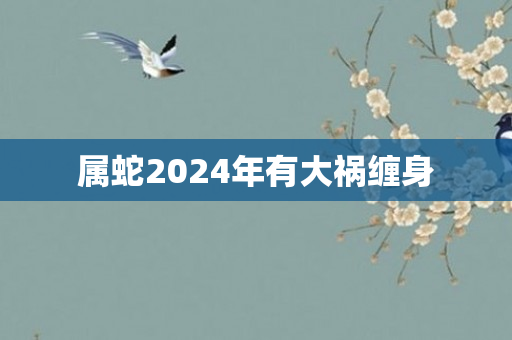 属蛇2024年有大祸缠身
