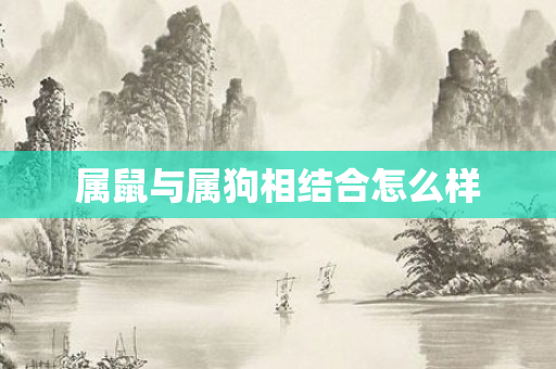 属鼠与属狗相结合怎么样