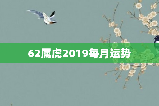 62属虎2019每月运势