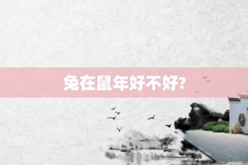 兔在鼠年好不好?