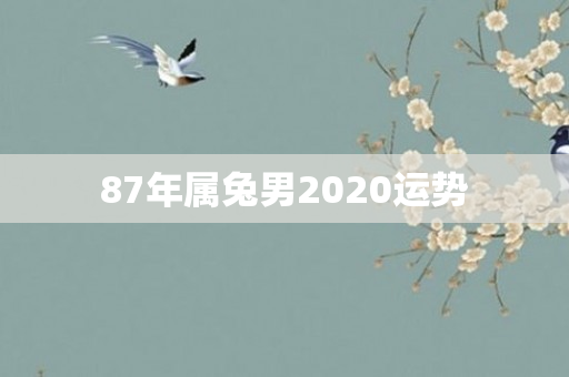 87年属兔男2020运势