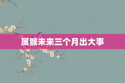 属猴未来三个月出大事