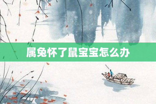 属兔怀了鼠宝宝怎么办