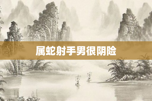 属蛇射手男很阴险