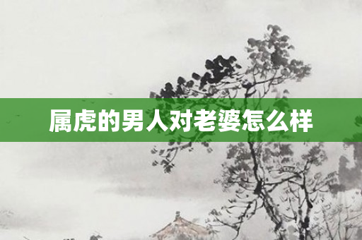 属虎的男人对老婆怎么样