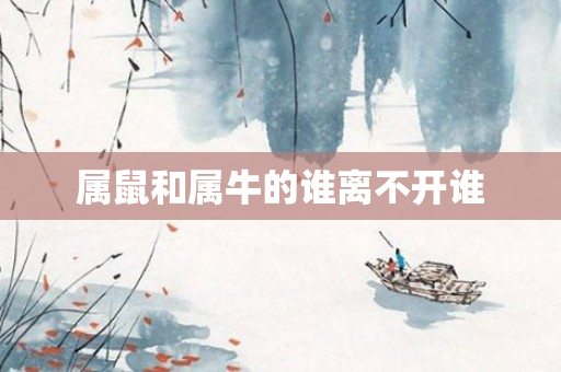 属鼠和属牛的谁离不开谁