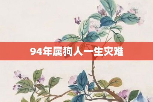 94年属狗人一生灾难
