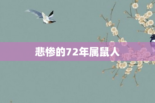 悲惨的72年属鼠人