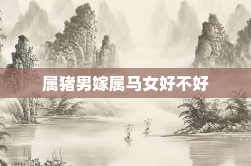 属猪男嫁属马女好不好