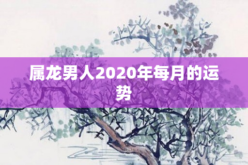 属龙男人2020年每月的运势