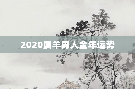 2020属羊男人全年运势