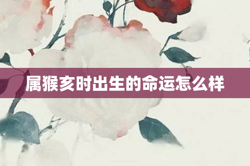 属猴亥时出生的命运怎么样