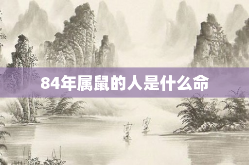 84年属鼠的人是什么命