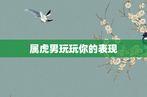属虎男玩玩你的表现