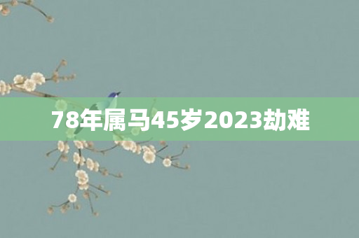 78年属马45岁2023劫难