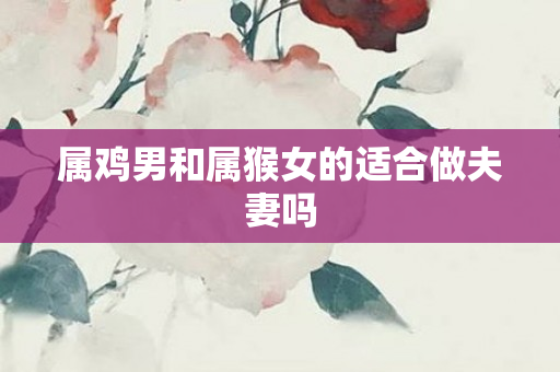 属鸡男和属猴女的适合做夫妻吗