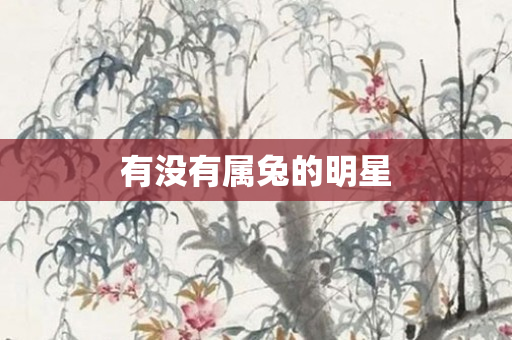 有没有属兔的明星