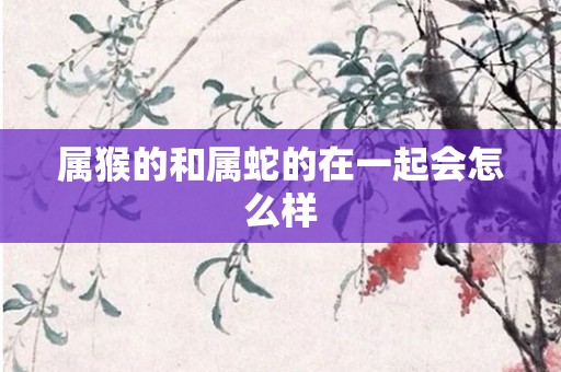 属猴的和属蛇的在一起会怎么样