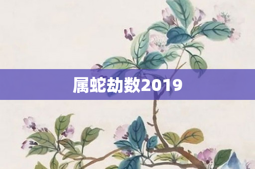 属蛇劫数2019