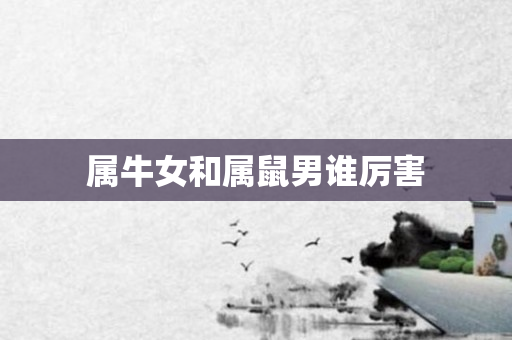 属牛女和属鼠男谁厉害