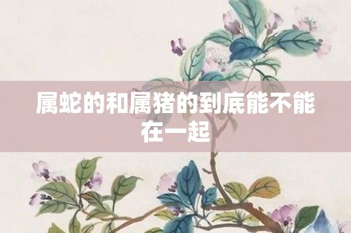 属蛇的和属猪的到底能不能在一起