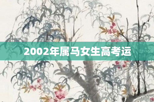 2002年属马女生高考运