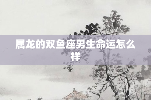 属龙的双鱼座男生命运怎么样