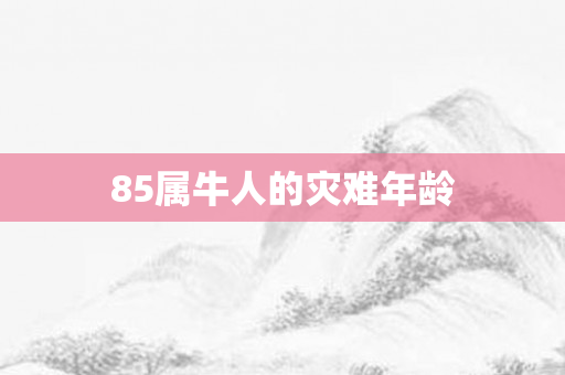 85属牛人的灾难年龄