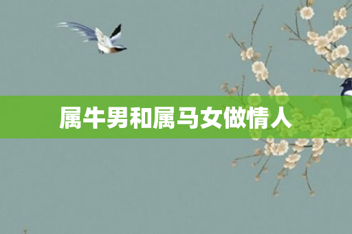 属牛男和属马女做情人