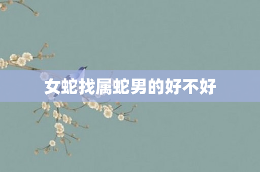 女蛇找属蛇男的好不好