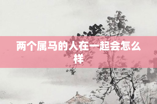 两个属马的人在一起会怎么样