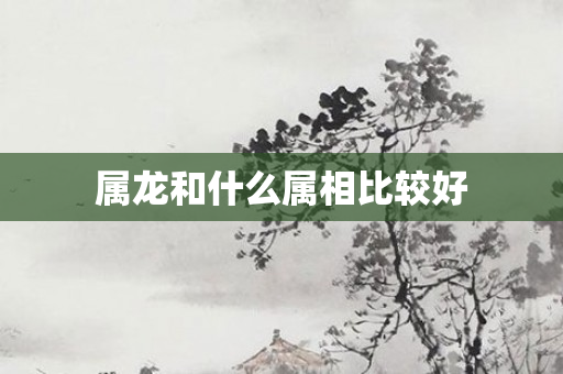 属龙和什么属相比较好