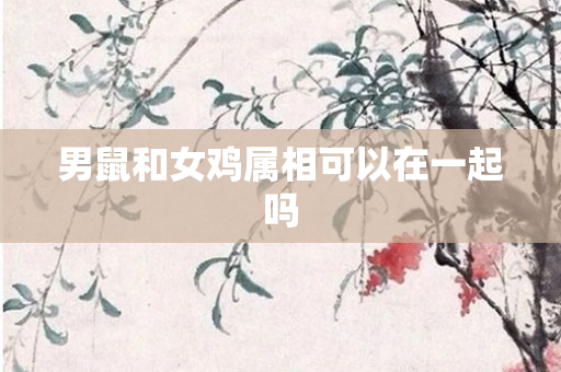 男鼠和女鸡属相可以在一起吗