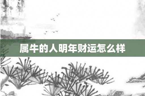 属牛的人明年财运怎么样