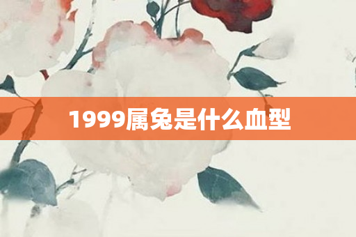 1999属兔是什么血型