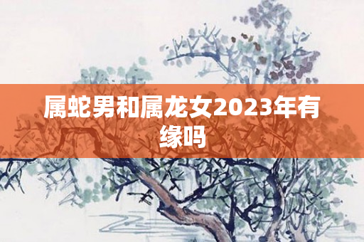 属蛇男和属龙女2023年有缘吗
