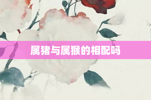 属猪与属猴的相配吗