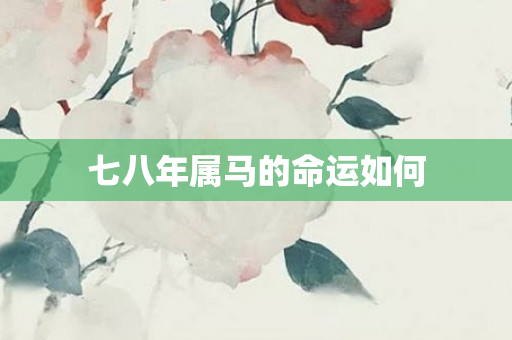 七八年属马的命运如何