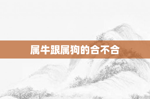 属牛跟属狗的合不合