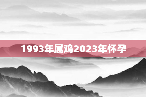 1993年属鸡2023年怀孕