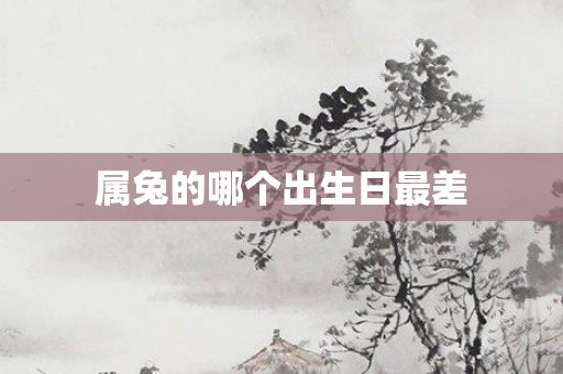 属兔的哪个出生日最差