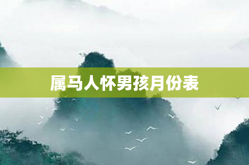 属马人怀男孩月份表